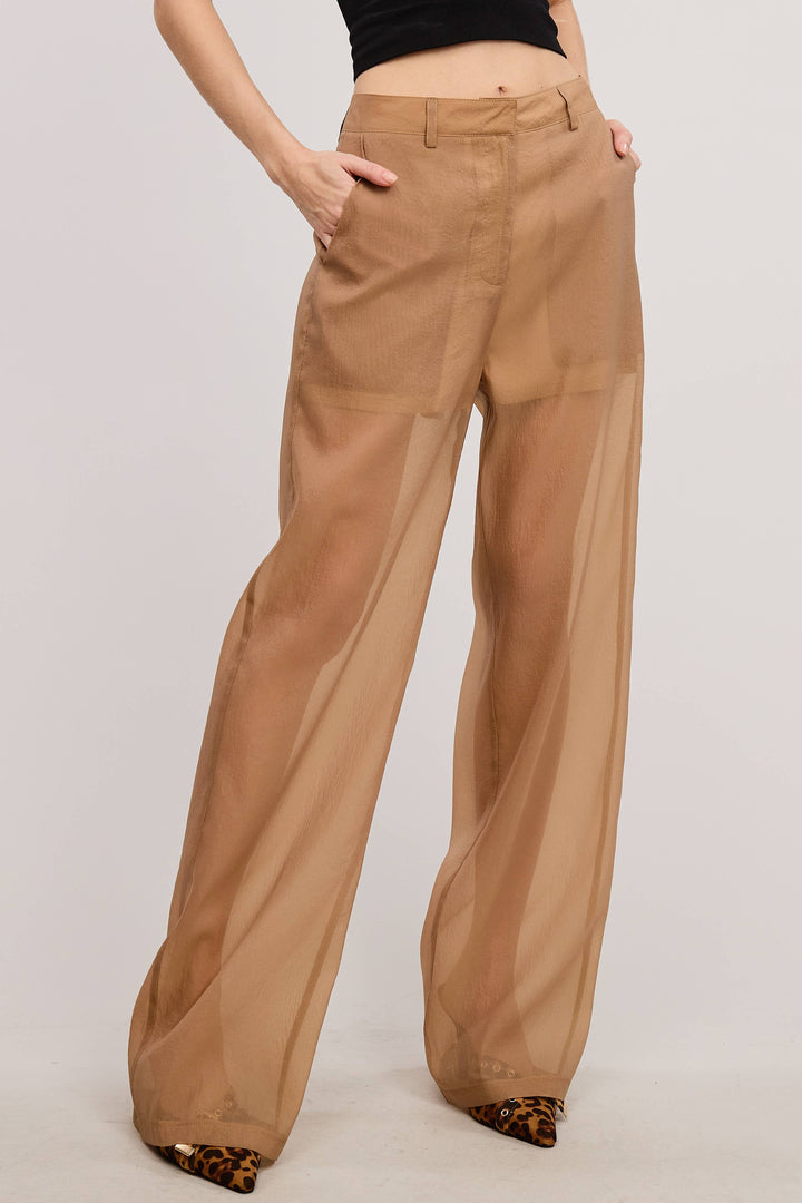 Sheer Organza Pants