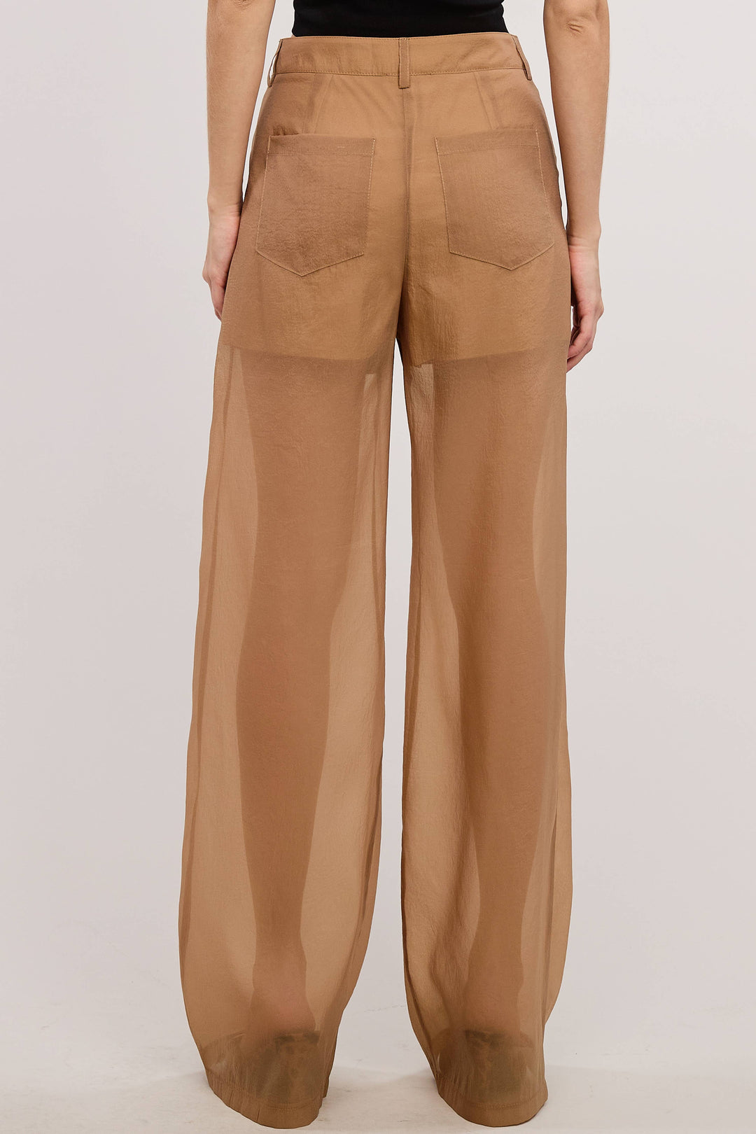 Sheer Organza Pants