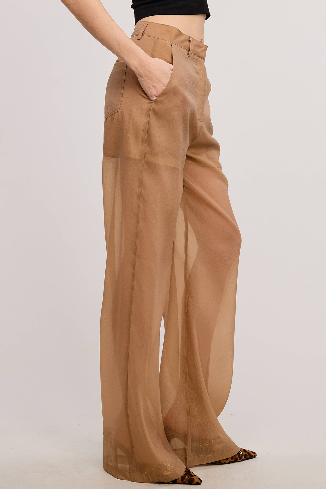 Sheer Organza Pants