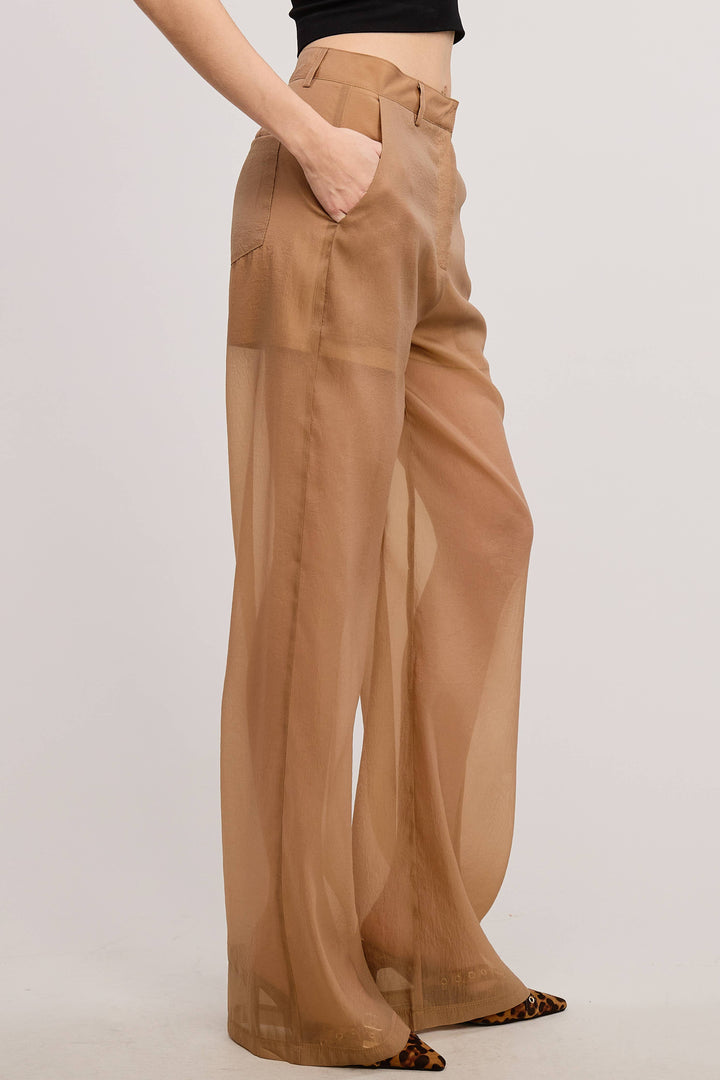 Sheer Organza Pants
