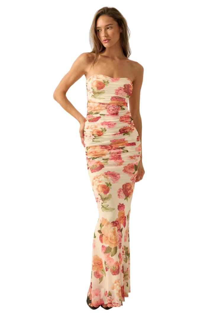 Rose Print Mesh Maxi Dress