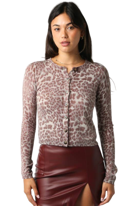 Leopard Knit Top